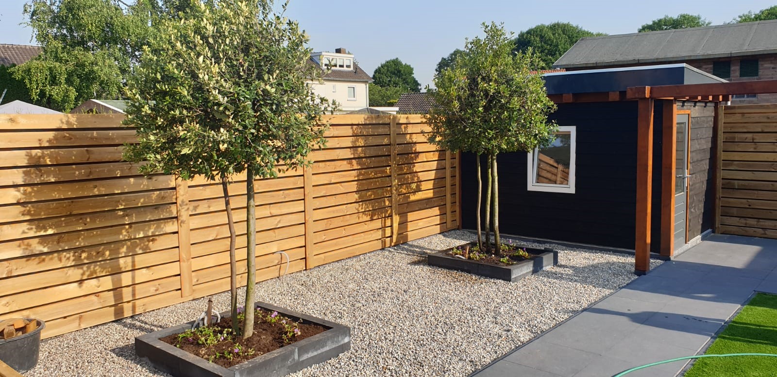 Quercus Ilex meerstammig solitair aanplanten a2