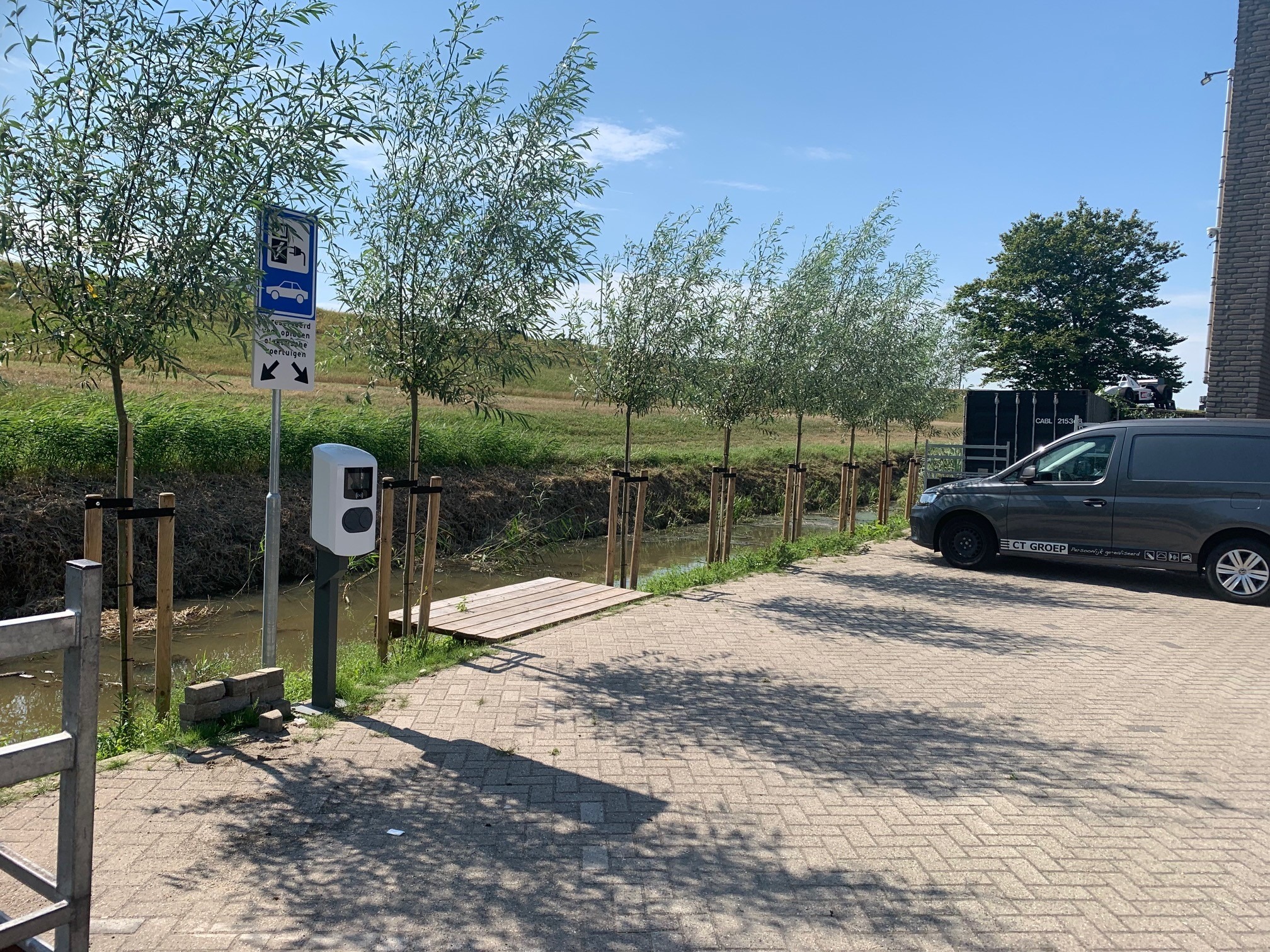 Salix Alba aanplanten mooi a1